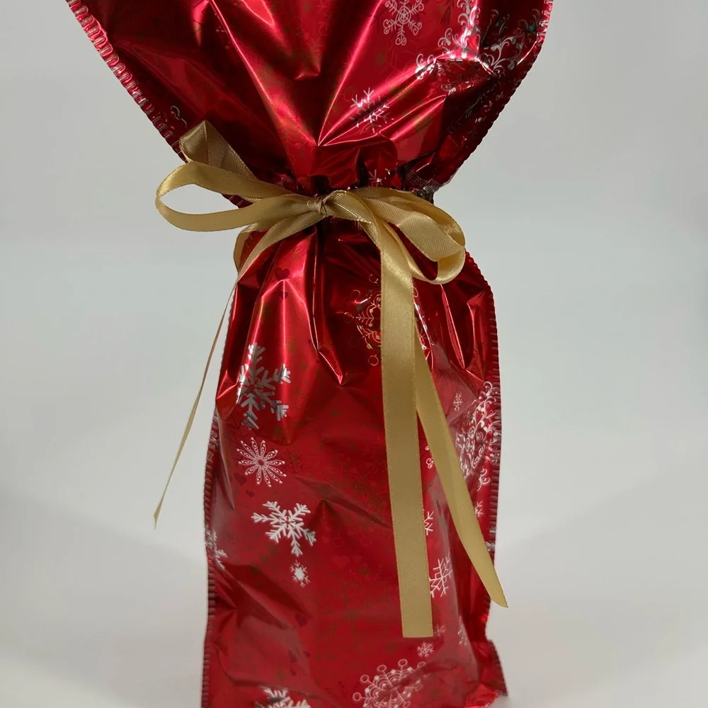 Festive Gift Bag Set - Red, Green, Blue, Gold, Silver